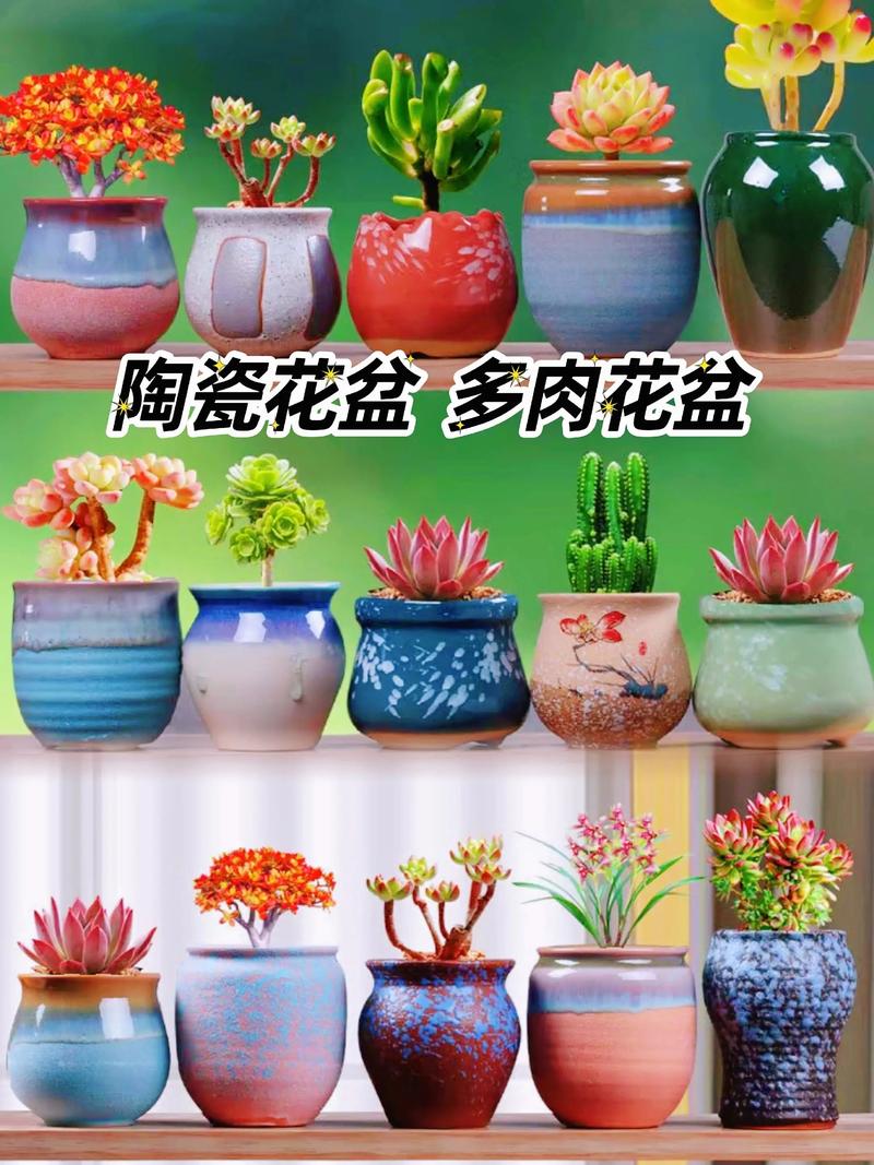 花盆批发新趋势：绿色产业的蓬勃生机